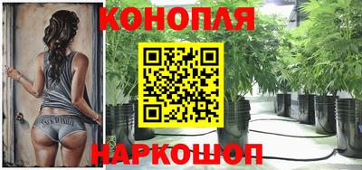 дурь Гусиноозёрск
