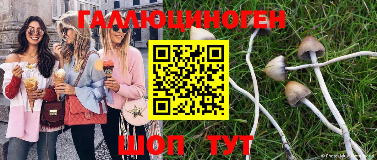 Псилоцибиновые грибы мицелий  Вход с VPN  где найти   Геленджик 